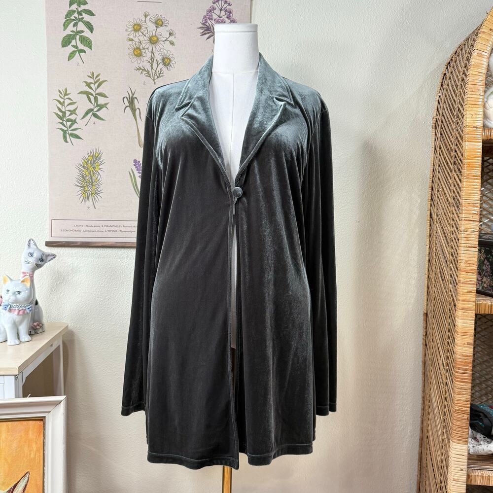 Vintage Y2k Gray Green Velvet Jacket Whimsigoth Romantic Goth Vampire Witchy L